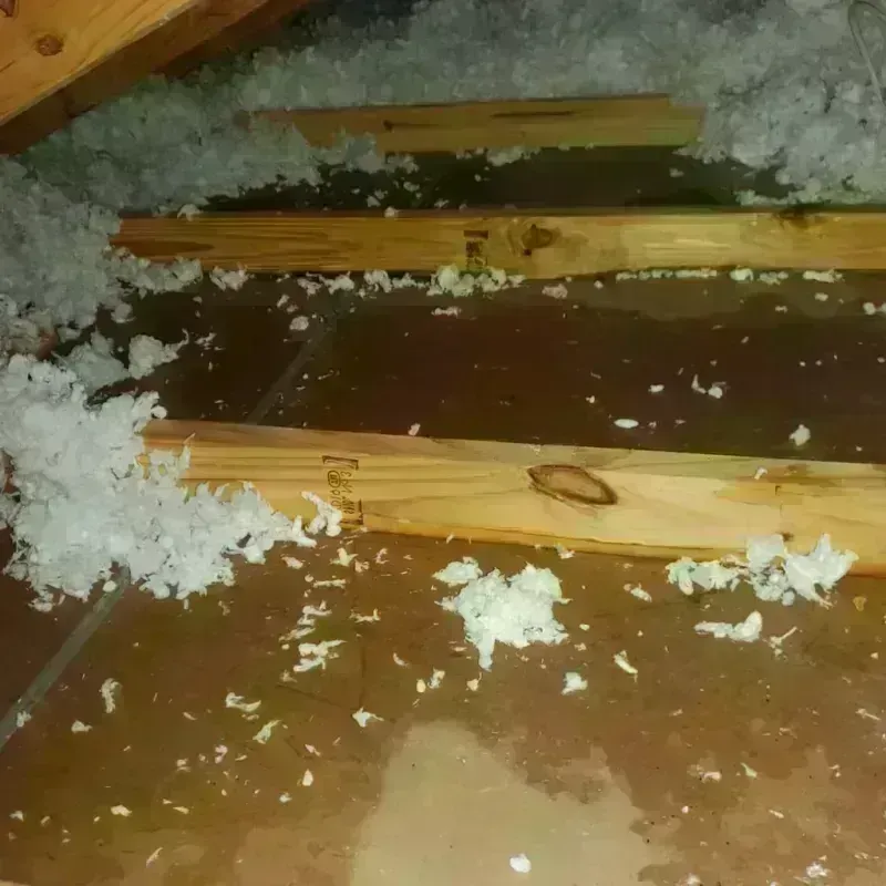 Attic Water Damage in Weaver, AL