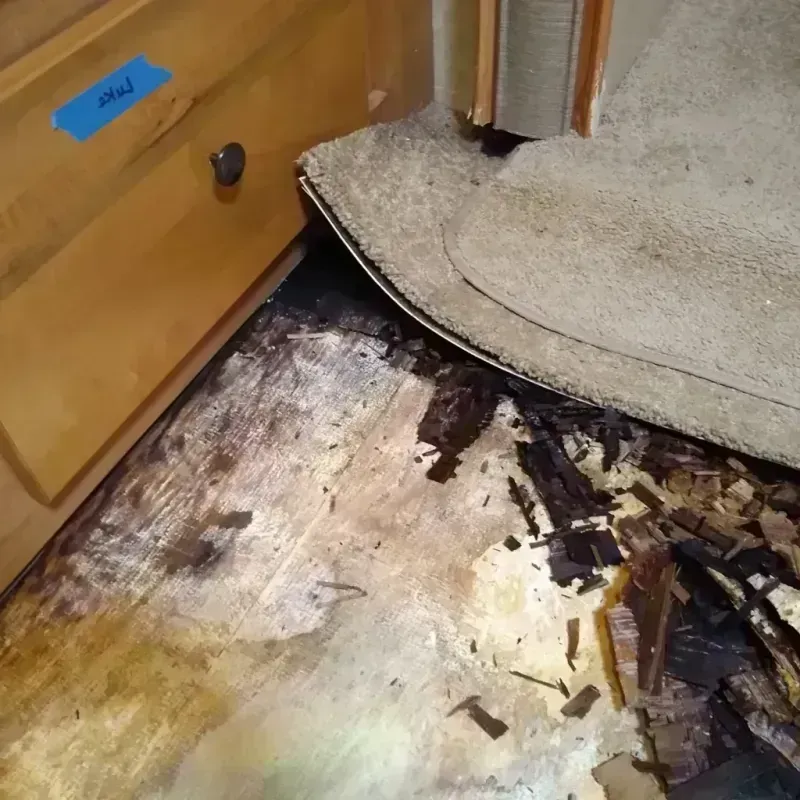 Wood Floor Water Damage in Weaver, AL